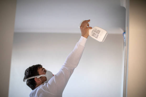 Crawl Space Mold Removal in Paloma Creek, TX
