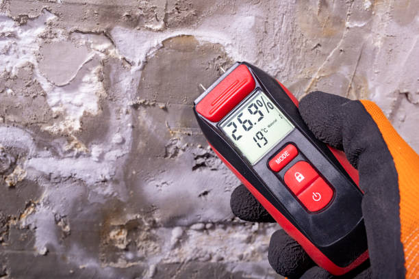 Best Crawl Space Mold Removal  in Paloma Creek, TX