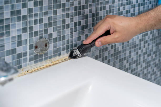 Mold Removal Process in Paloma Creek, TX